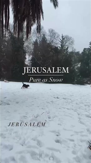 ❄️ Jerusalem as Pure as Snow 🇮🇱✨ | Winter Magic in the Holy City