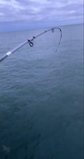 Shark fishing at Apache Pier in Myrtle Beach, SC