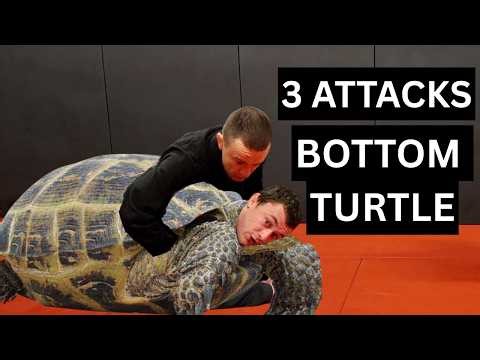 3 High Percentage Escapes From Turtle Position