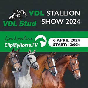 Stallion show - VDL Stud Hengstenshow - 2024 | Videos, Live Streams, Films and Shows | ClipMyHorse.TV