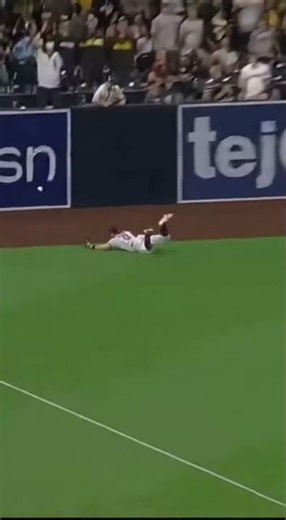 Unbelievable Outfield Play
