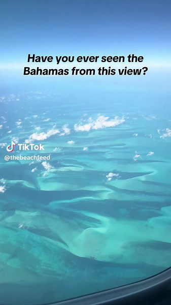 thebeachfeed sur TikTok