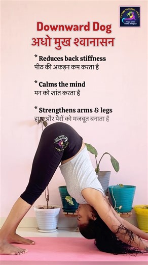 3 Easy Yoga Poses for Flexibility & Relaxation ✨ | Butterfly, Low Lunge & Downward Dog