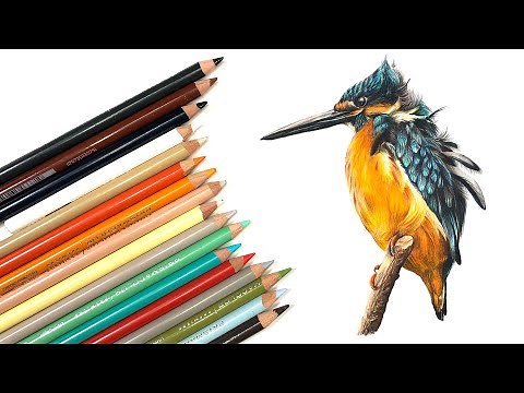 DRAW A BIRD with Colored Pencils - Kingfisher