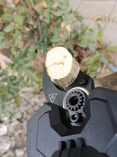 #forbicedapotaturabrushless #olivo#performance#display #parksideperformance