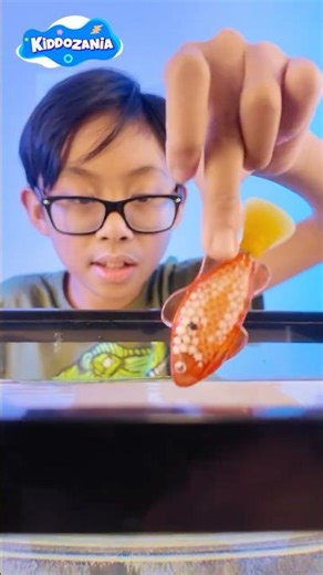 Robo Fish Toys Water Play for Kids – Orange & Blue Swimming Fish Fun