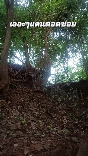 ใครยุหลบไว | สมหวัง ปัดสามาลา