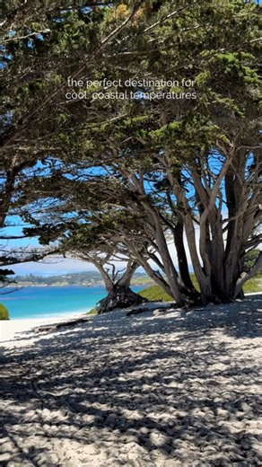 Leave the summer heat behind for the perfect coastal escape in Carmel-by-the-Sea. The cool, refreshing sea breeze makes for an idyllic setting to explore flowing gardens, charming village streets and scenic shores. | Carmel by the Sea