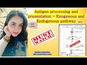 Antigen processing and presentation -Exogenous and Endogenous pathway #immunology #csirnet