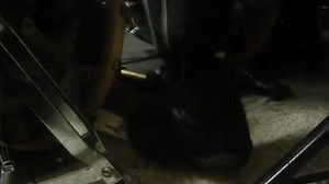 There is a reason why they call him "Pete The Feet". | Morbid Angel