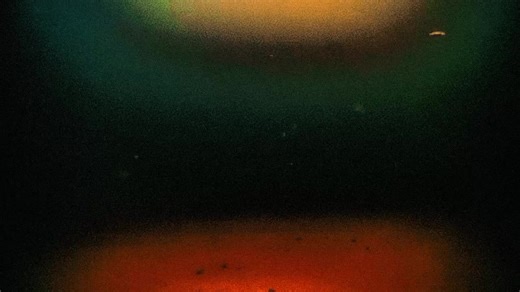 The Incredible World of Hippos: Nature's Mighty Giants