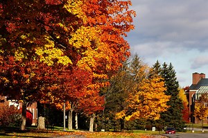 Things to See and Do in Waterville, Maine