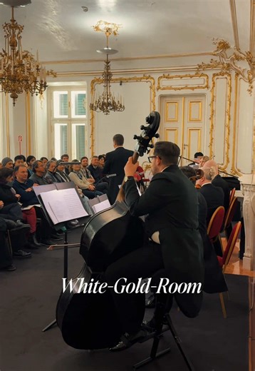 🎶✨ Our concerts in the White and Gold Room are truly a close-up experience. Feel the music 🎵 and connect with the musicians like never before… 🏰 especially with the incredible history of these rooms, once home to the Habsburgs themselves 👑🎼 #concert #Vienna #palace #classical #wien