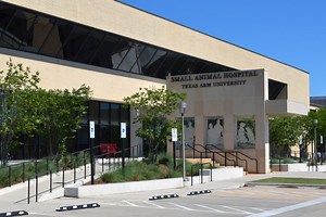 Magnetic Resonance Imaging