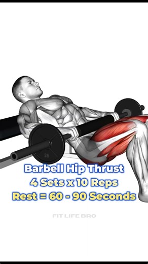 Posterior Chain Power Glutes + Back