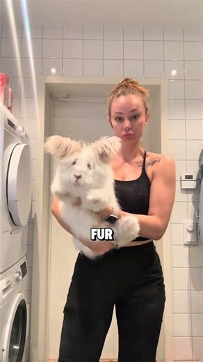 4 Unique Rabbit Breeds You Won't Believe Exist! #facts #animals #wildlife
