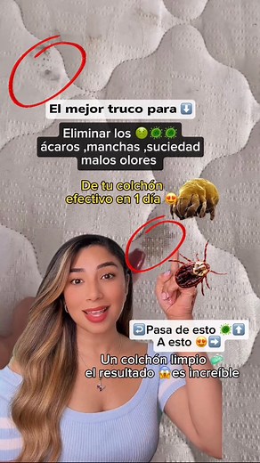 Elimina para siempre ácaros 🦗del colchón no más manchas ,suciedad y polvo déjalo como nuevo con este truco efectivo pruébalo amarás el resultado 😍#recetas #colchon #facebookreel #reelsfb #Tutorial #reelsvideos #reelsviral #recetasfaciles #videotutorial #salud #limpieza #hogar #saludybienestar #casa #viralvideo #viralreels #acaros #manchas #house #reels | Angiebeauty03