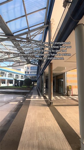 The Reality of Italian Regional Scholarships for Students