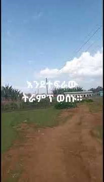 trump supporter creator code