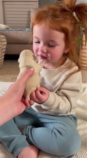 She Met Her Best Friend for the Very First Time 😭🐾