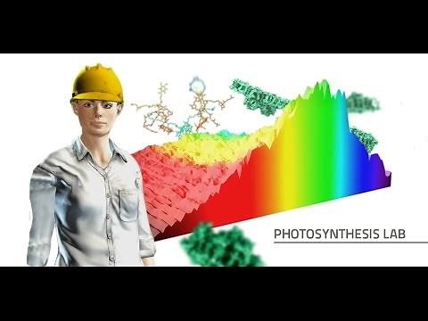 Labster Virtual Lab: Photosynthesis Simulation