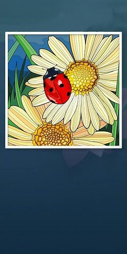 Zen Color -( Color By Number) 10 Pak Gamer Gameplay