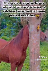 #hombredecampo #cuaco #viraltiktok #sierra #rancho #video_viral_tiktok #eldelsombrero🤠 #amigos #plebes #ranchero