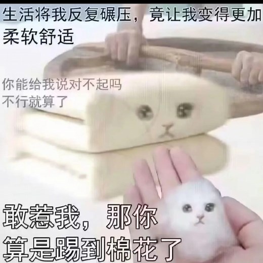 求助大家小米盒子怎么看电视直播啊，很多软件不能用了