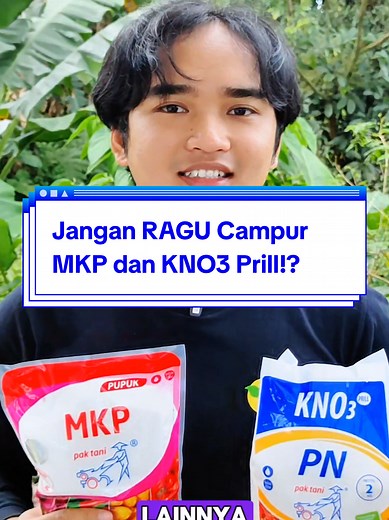 Jangan RAGU Campur MKP dan KNO3 Prill untuk Tanaman