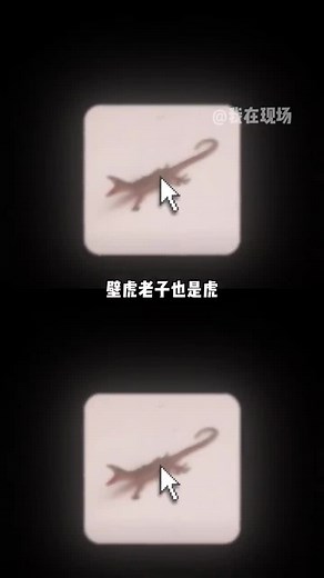 壁虎的叫声与生态平衡