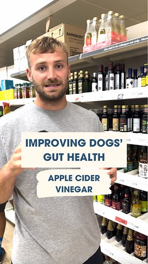 Apple cider vinegar is great for dogs with gut issues. It helps to rebalance the PH in their gut and improve their digestive system. You only need to add a small amount to your dog's food. Start with 1/4 teaspoon to 1 teaspoon per day for small dogs (up to 10kg/22lbs) and 1 to 2 teaspoons per day for medium to large dogs (up to 45kg/99lbs). #dogsofinstagram #doglover #guthealth #dognutrition #dogfood #applecidervinegar | The Dog Nutritionist