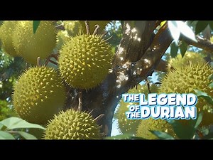 The Legend of the Durian (Ang Alamat ng Durian) | Filipino Folktales | Narrated Story for Kids