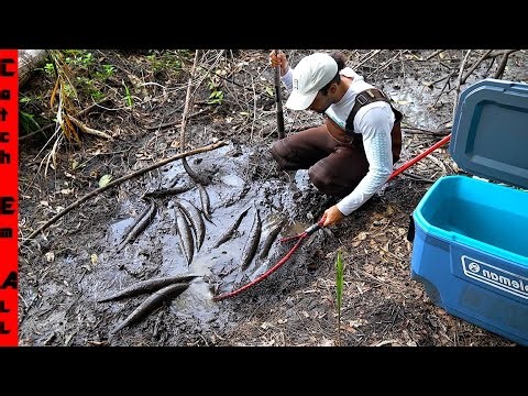 FISHING UNDERGROUND for TONS of LOST FISH in MUD NIPPER HOLE!