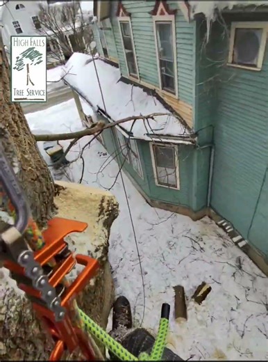 I spy with my little eye a wild Kenjamin