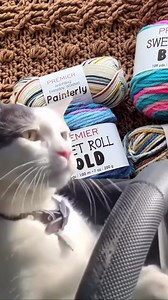 Nothing like getting new yarn before the weekend 🤩 Have you tried out our latest releases yet👇 🍭 Premier Sweet Roll Bold 🌄 Premier Canyon Colors 🎨 Premier Anti-Pilling Everyday Worsted Painterly 🔗 You can peruse these collection through the link in our bio! | Premier Yarns