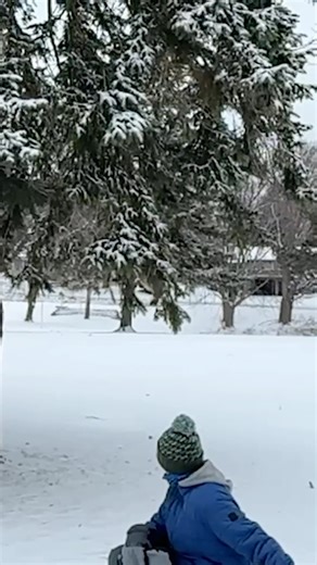 After a two-month stay at TRC, a red-tailed hawk was released back to the wild on January 10. The bird arrived at our raptor hospital on Nov. 11, 2024 with internal trauma and a previously injured toe, or digit, as we call them. The toe was missing its talon, and although the injury was old, the tip of the toe’s bone was infected and painful. Dr. Kaylee, TRC’s veterinary intern, came to the hawk’s rescue! She took the hawk to surgery, removed the small piece of infected bone, and closed the skin