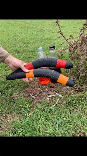 Today’s target practice 🎯🎯 | Wozza's Boomerang Adventures