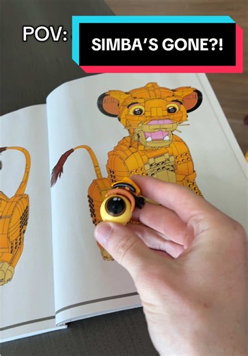 Remembering Simba: A Heartfelt Tribute