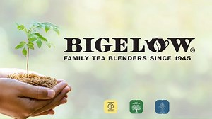 44 reactions · 8 comments | President and CEO, Cindi Bigelow, welcomes in B Corp Month (March). As one of 3,821 Certified B Corporations worldwide via B Corp U.S. & Canada, it recognizes our dedication to corporate social responsibility, a commitment that has been part of our company’s DNA since it was founded in 1945 by Cindi's grandmother, Ruth Campbell Bigelow. #WeAreBCorps #BCorpMonth | Bigelow Tea | Facebook