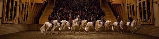 Les spectacles de l'Académie Equestre de Versailles