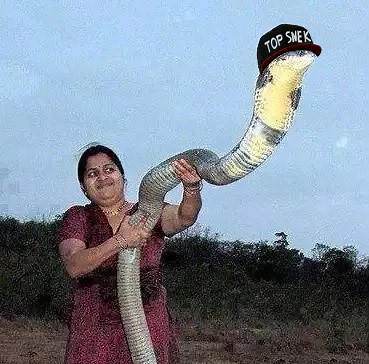 This Is Snek | Know Your Meme