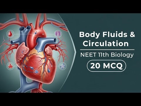 Body Fluids and Circulation MCQs | NEET Preparation 2025 | Concept Academy"
