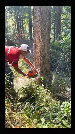 logging using a mini chainsaw