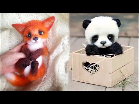 10 Cutest Exotic Animals You Can Own as Pets