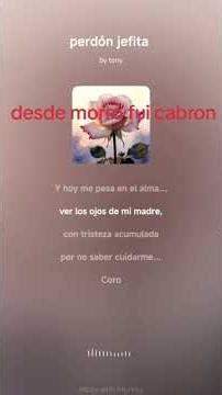 desde morro fui cabron