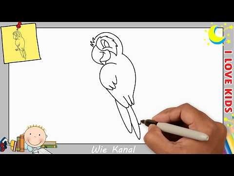 Papagei zeichnen lernen einfach schritt für schritt für anfänger & kinder 1