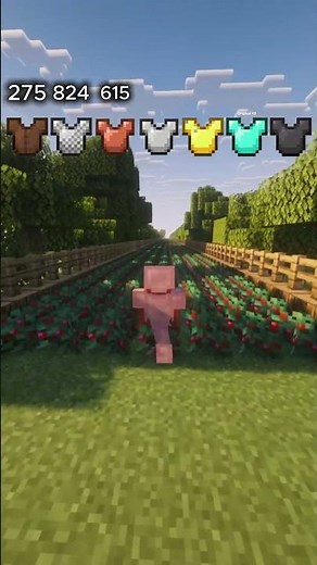 Armor Durability #minecraft