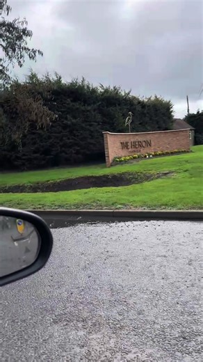 My First Golf Course Experience: Progress and Fun