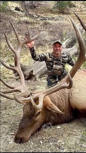 Joe Rogans 2022 STUD Bull Elk! #shorts #hunting