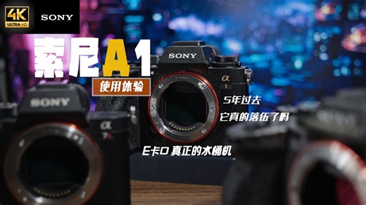索尼A1使用报告 | 传奇旗舰All in One | 五年前的参数怪兽 - 廉颇老矣，尚能饭否？|【分享频道】043
